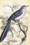 热门游戏分类 - 爱游戏